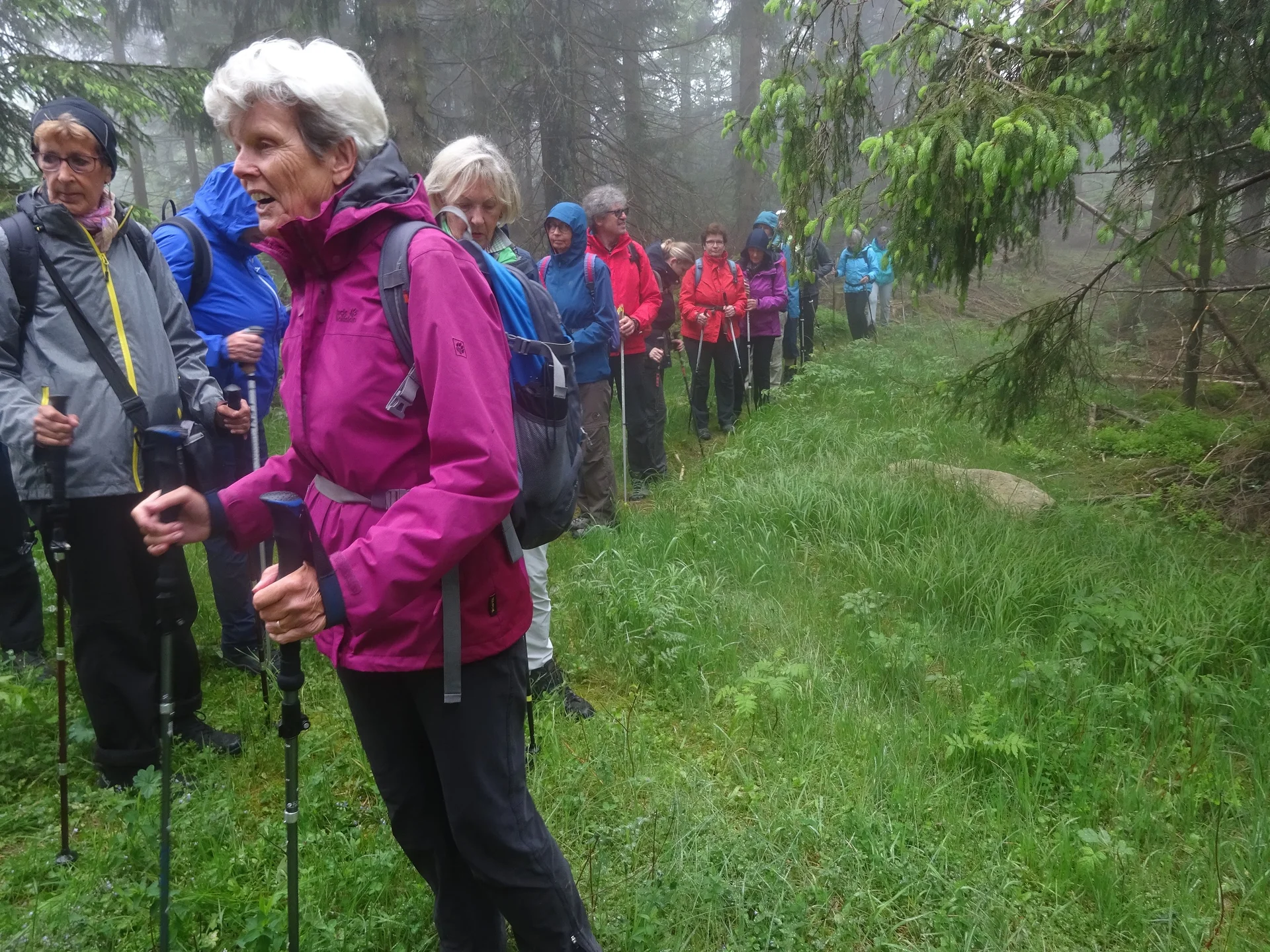 © Werner & Inge Fessel