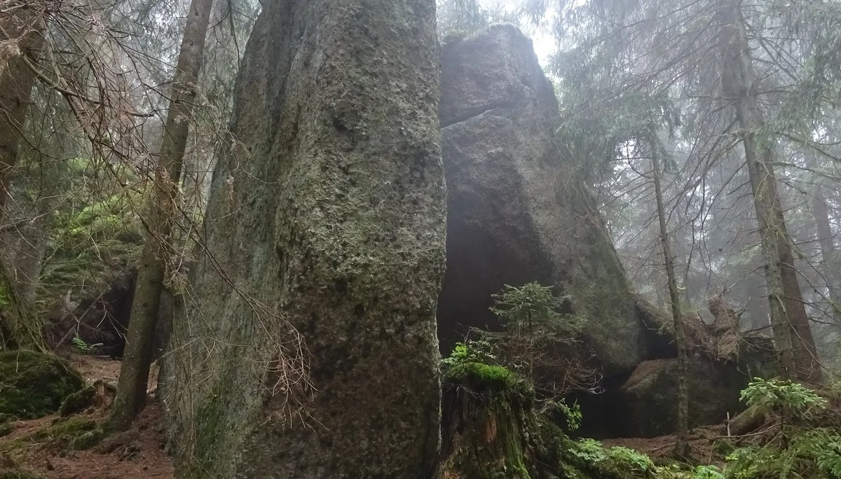 © Werner & Inge Fessel