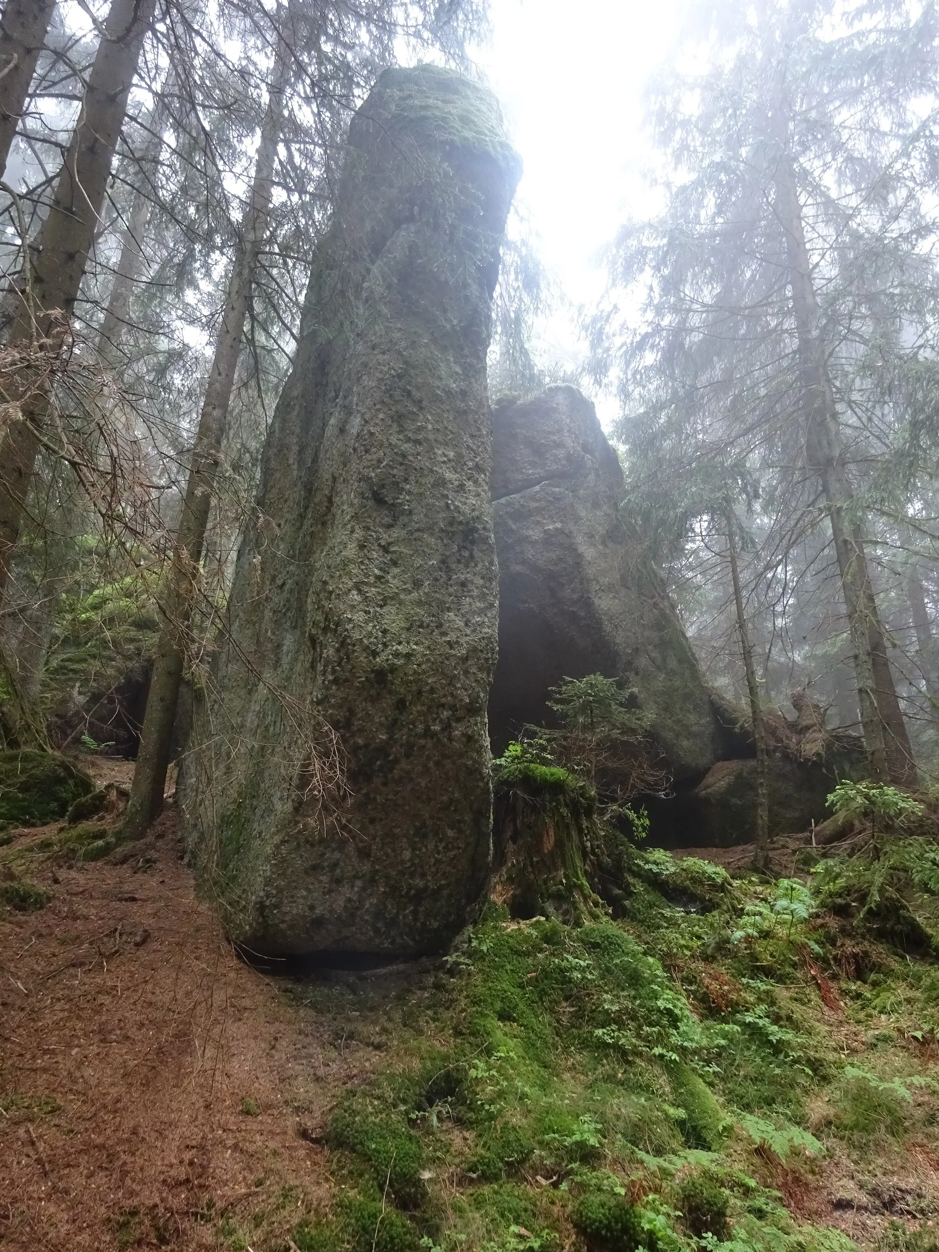 © Werner & Inge Fessel