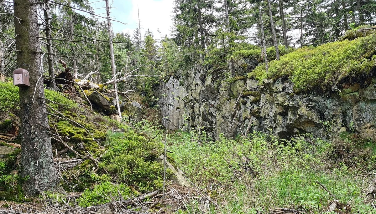 © Werner & Inge Fessel