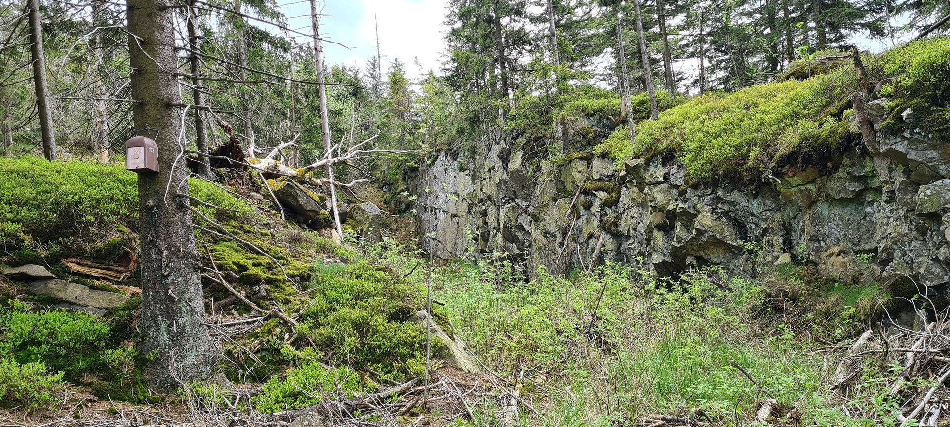 © Werner & Inge Fessel