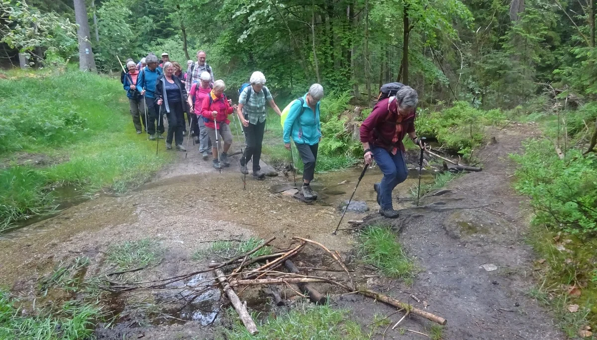 © Werner & Inge Fessel