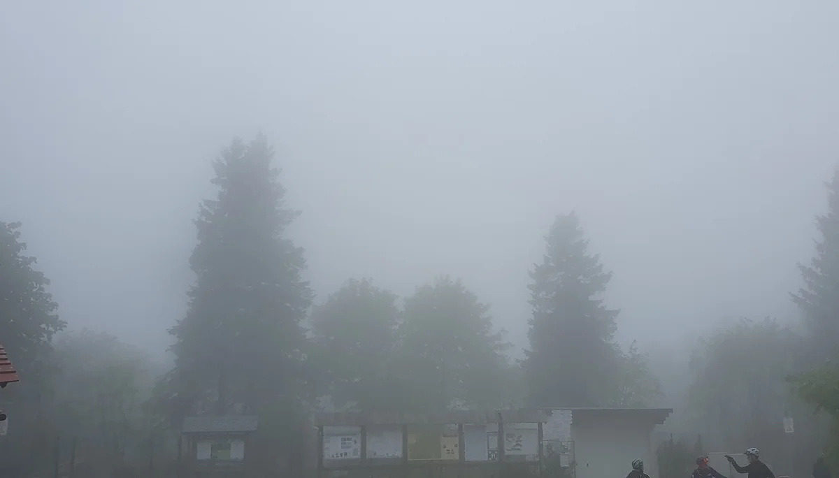 © Werner & Inge Fessel