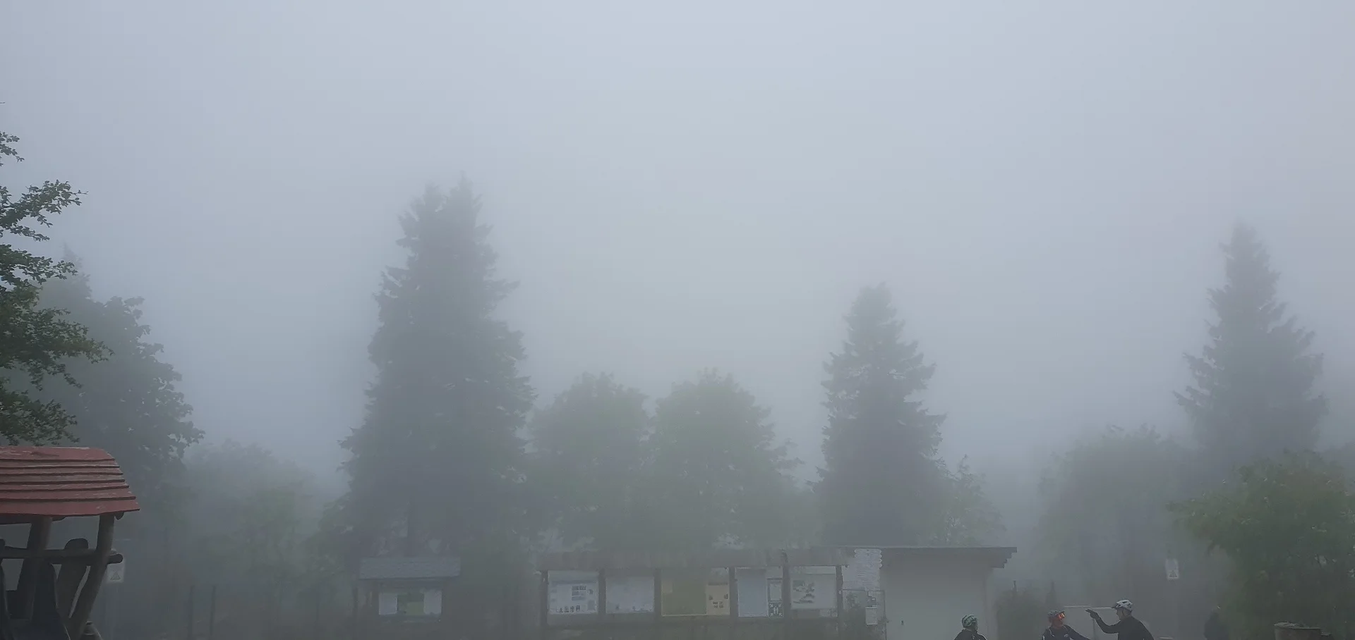 © Werner & Inge Fessel