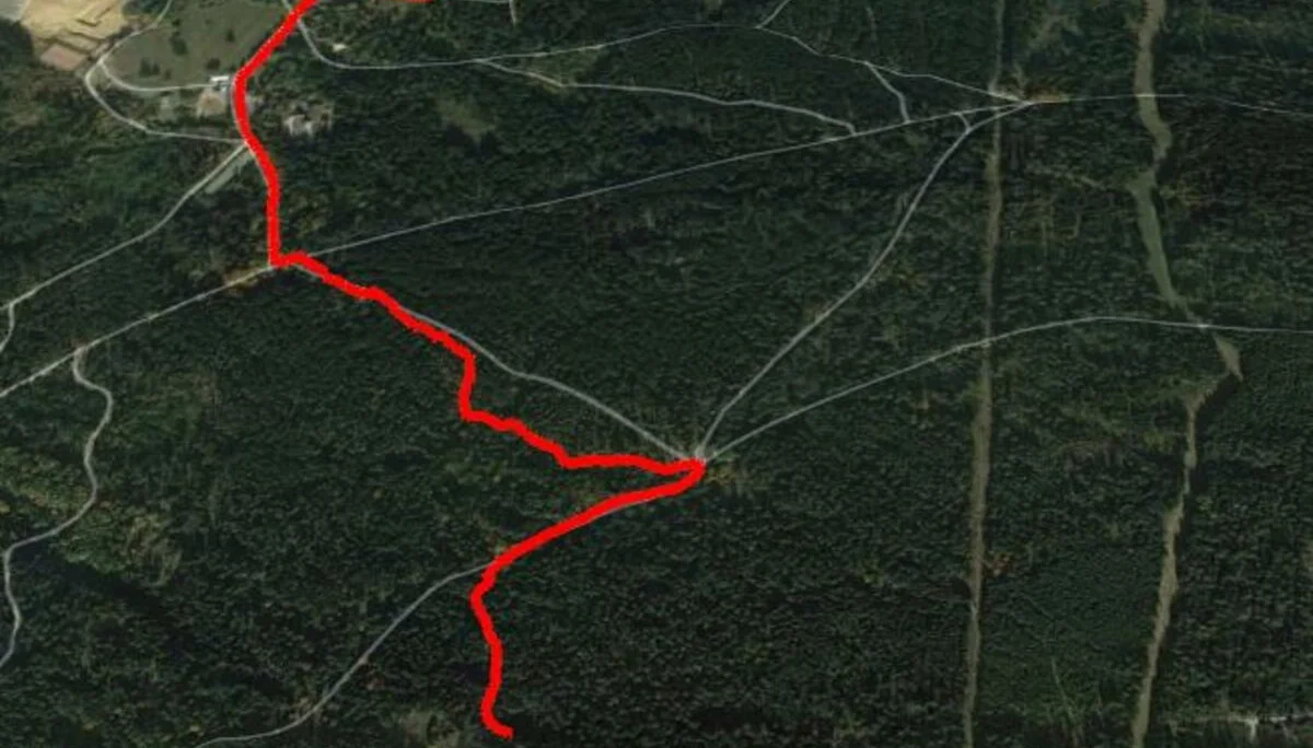 © Werner & Inge Fessel