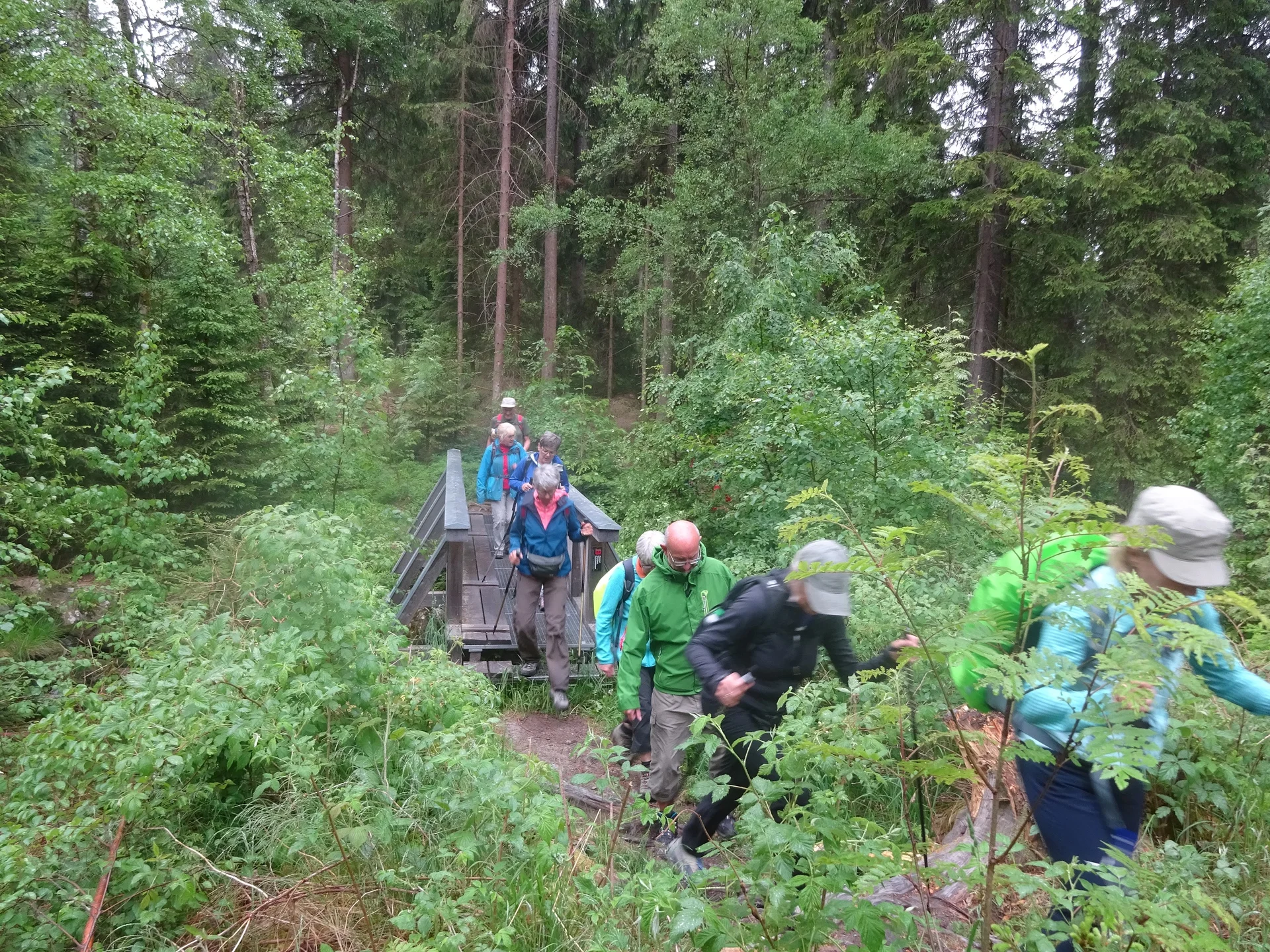 © Werner & Inge Fessel