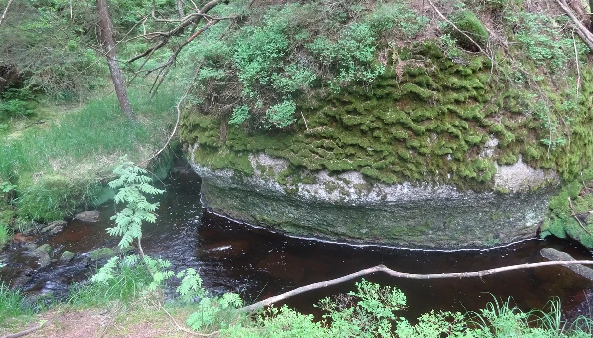 © Werner & Inge Fessel