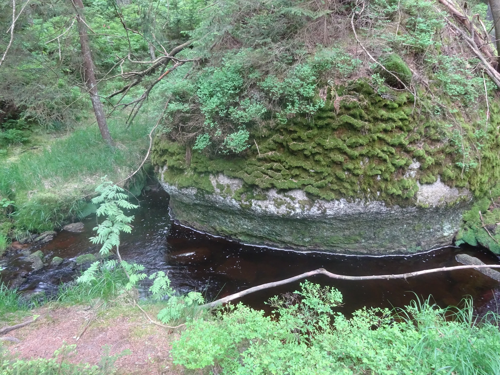 © Werner & Inge Fessel