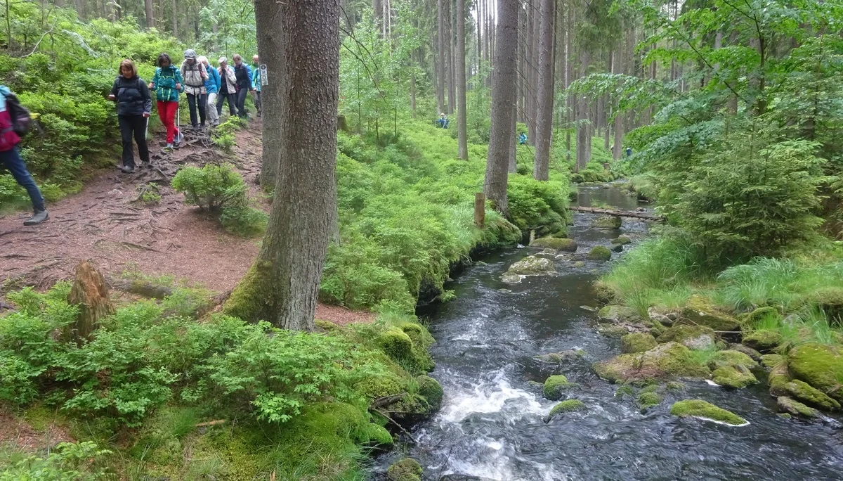 © Werner & Inge Fessel