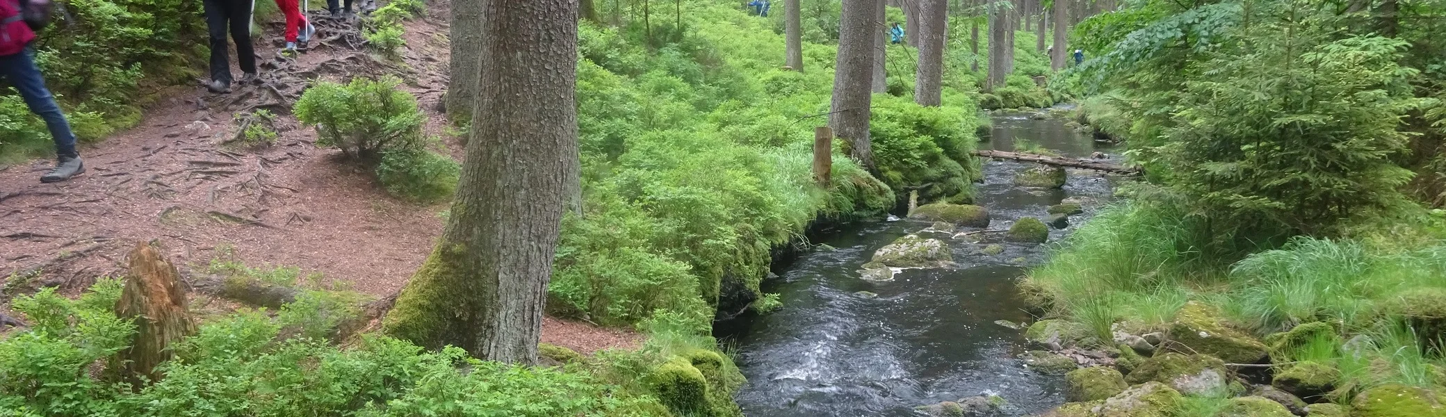 © Werner & Inge Fessel