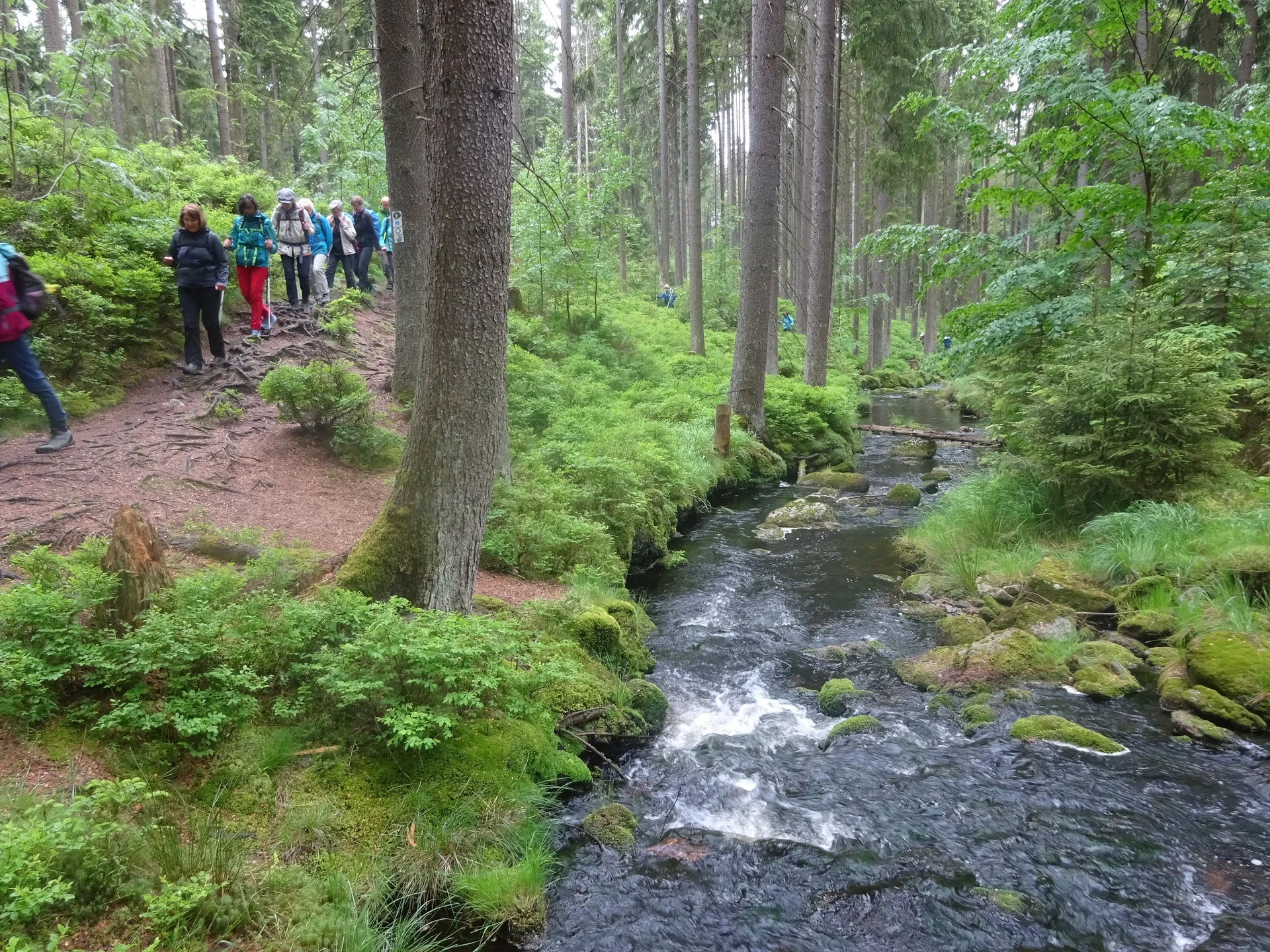 © Werner & Inge Fessel