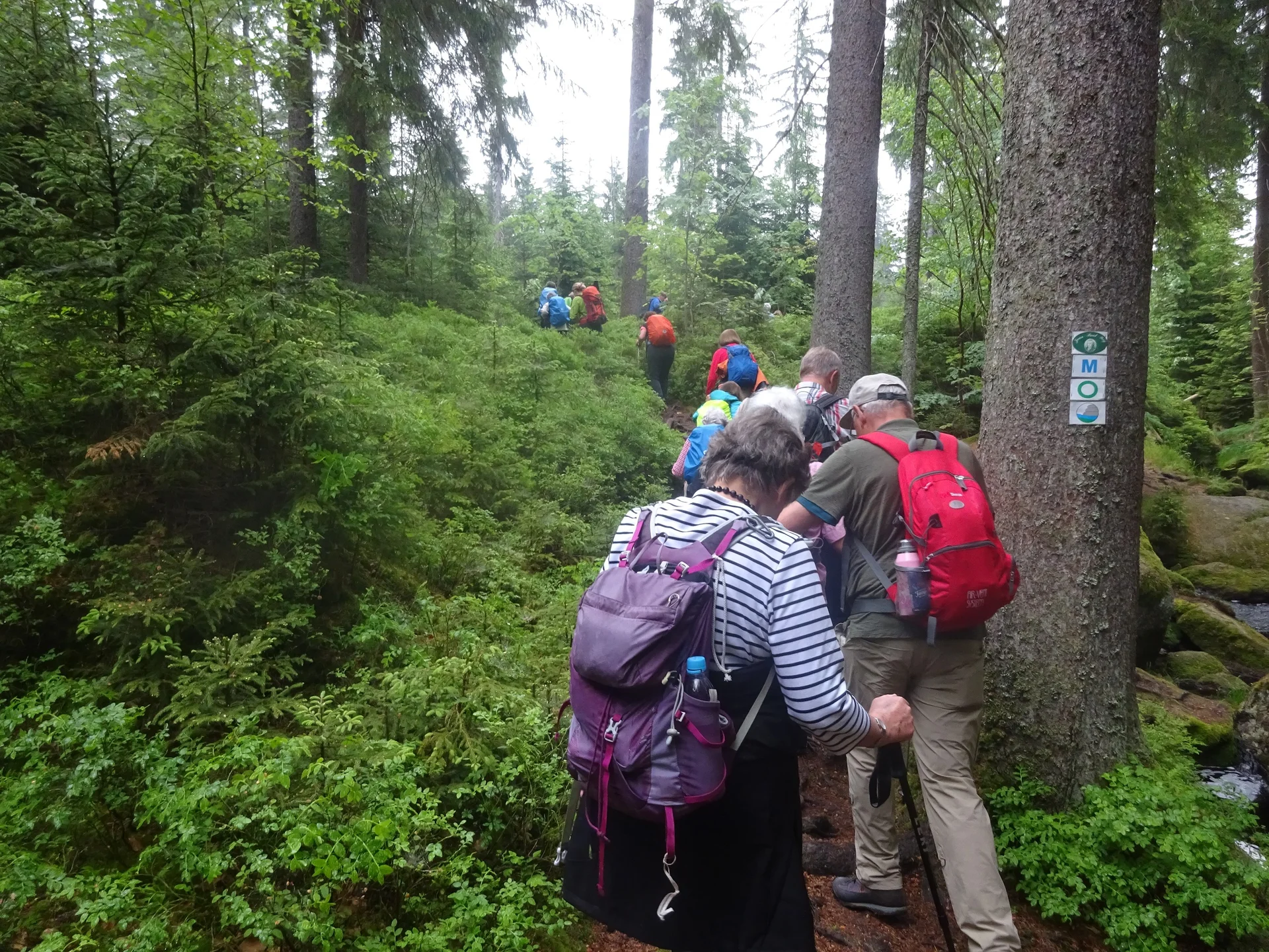 © Werner & Inge Fessel