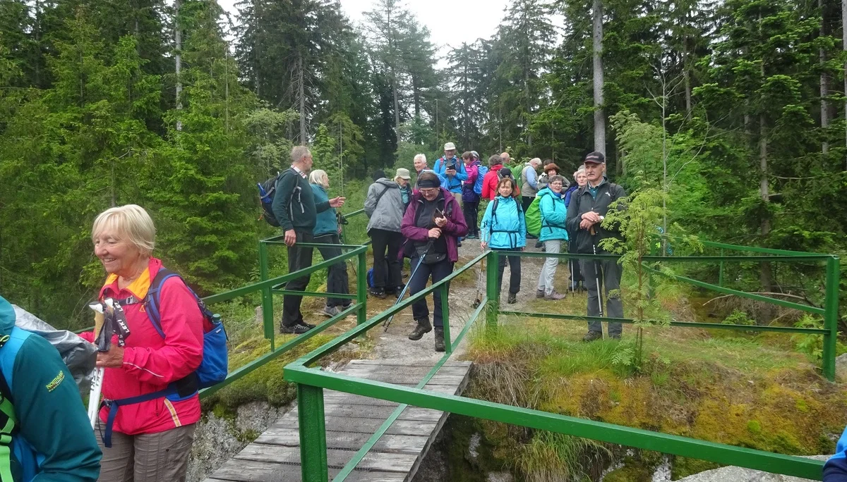 © Werner & Inge Fessel