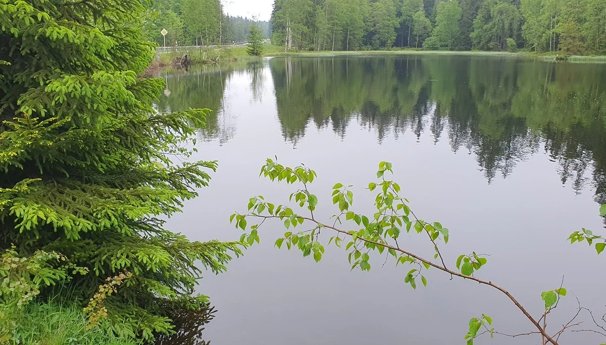 © Werner & Inge Fessel