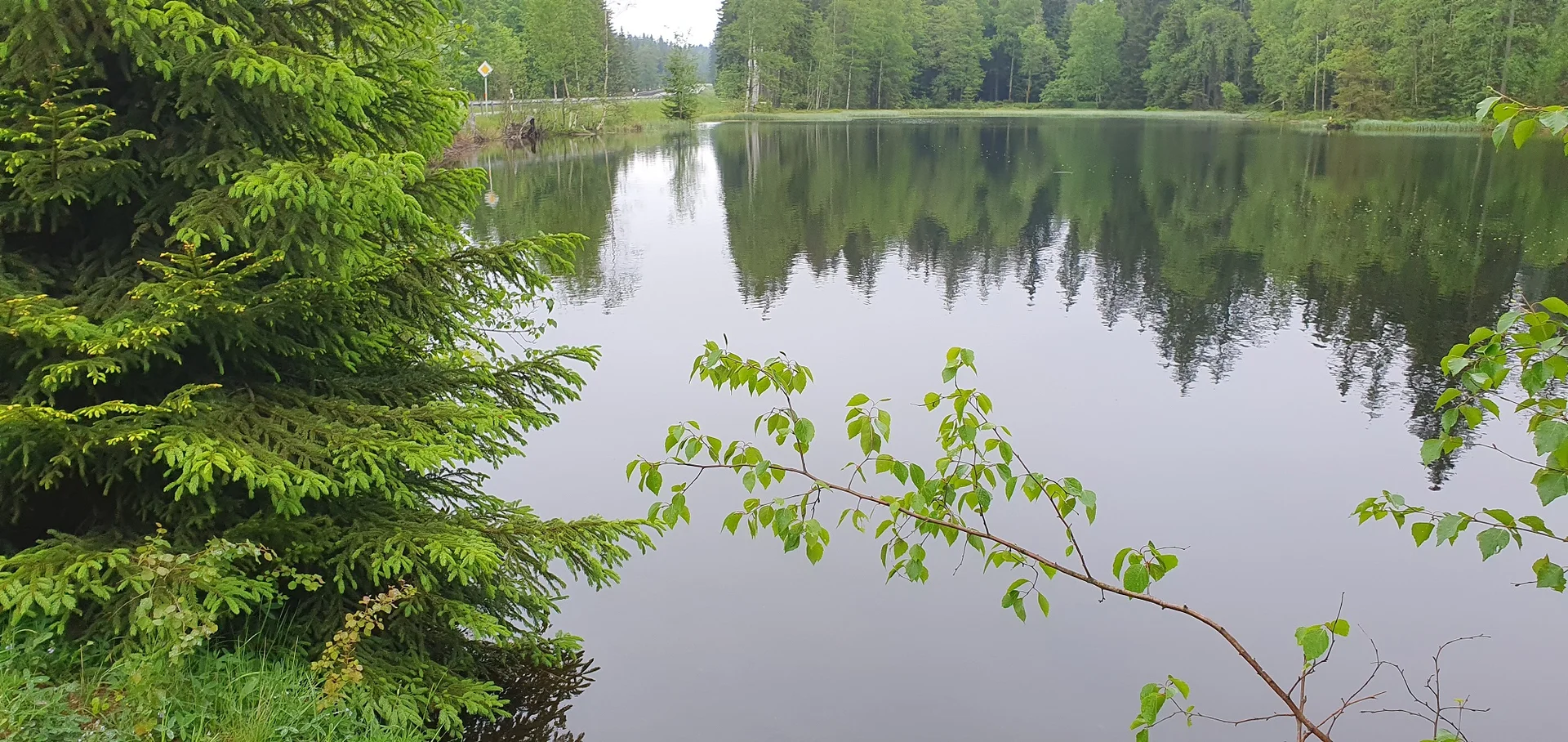 © Werner & Inge Fessel