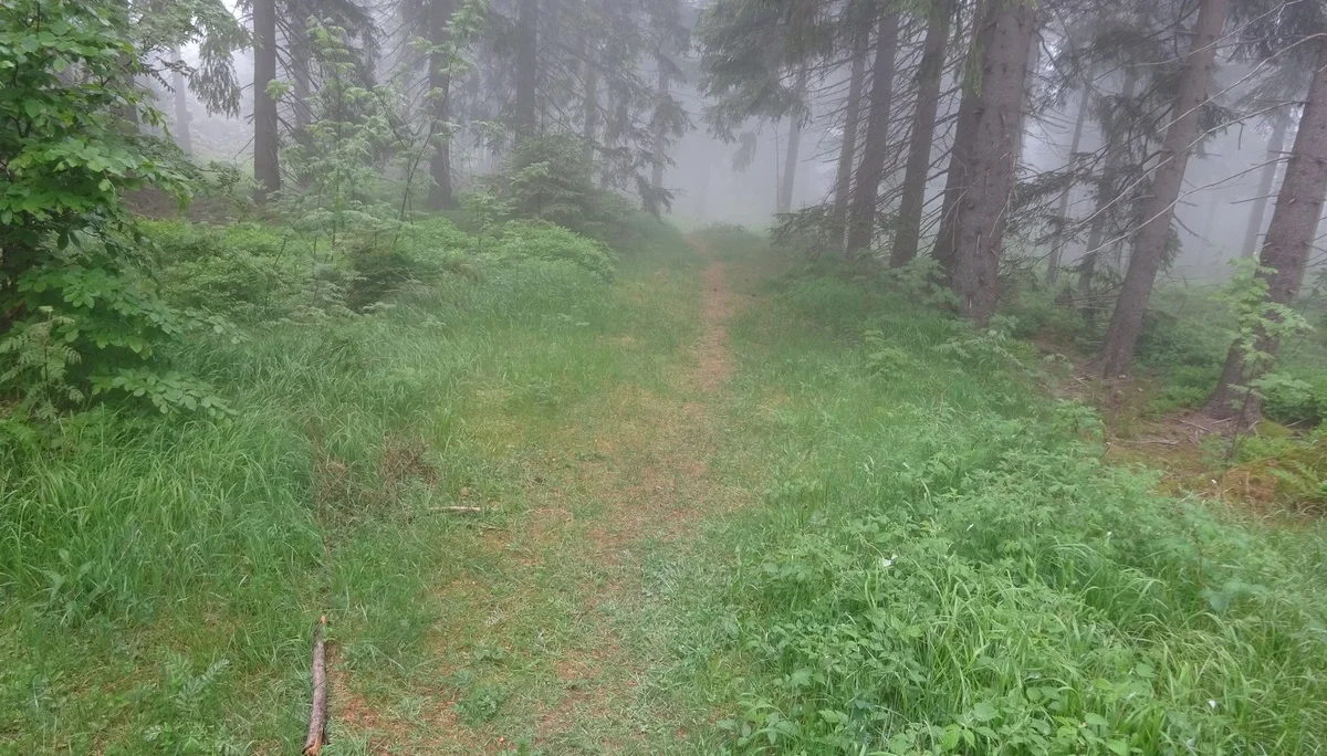 © Werner & Inge Fessel