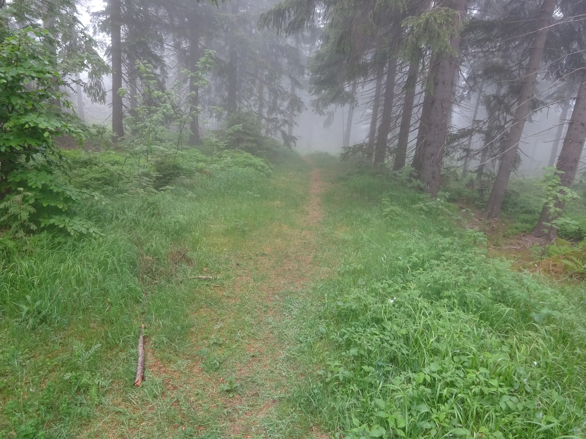 © Werner & Inge Fessel