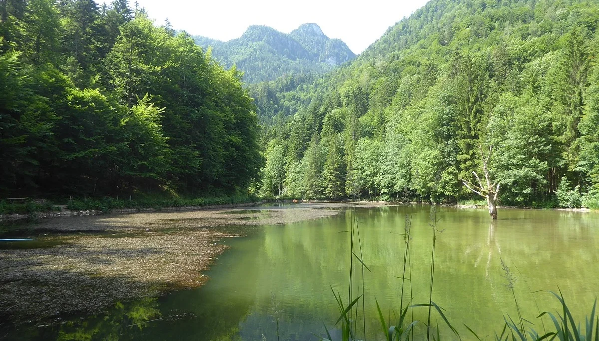 © Werner & Inge Fessel