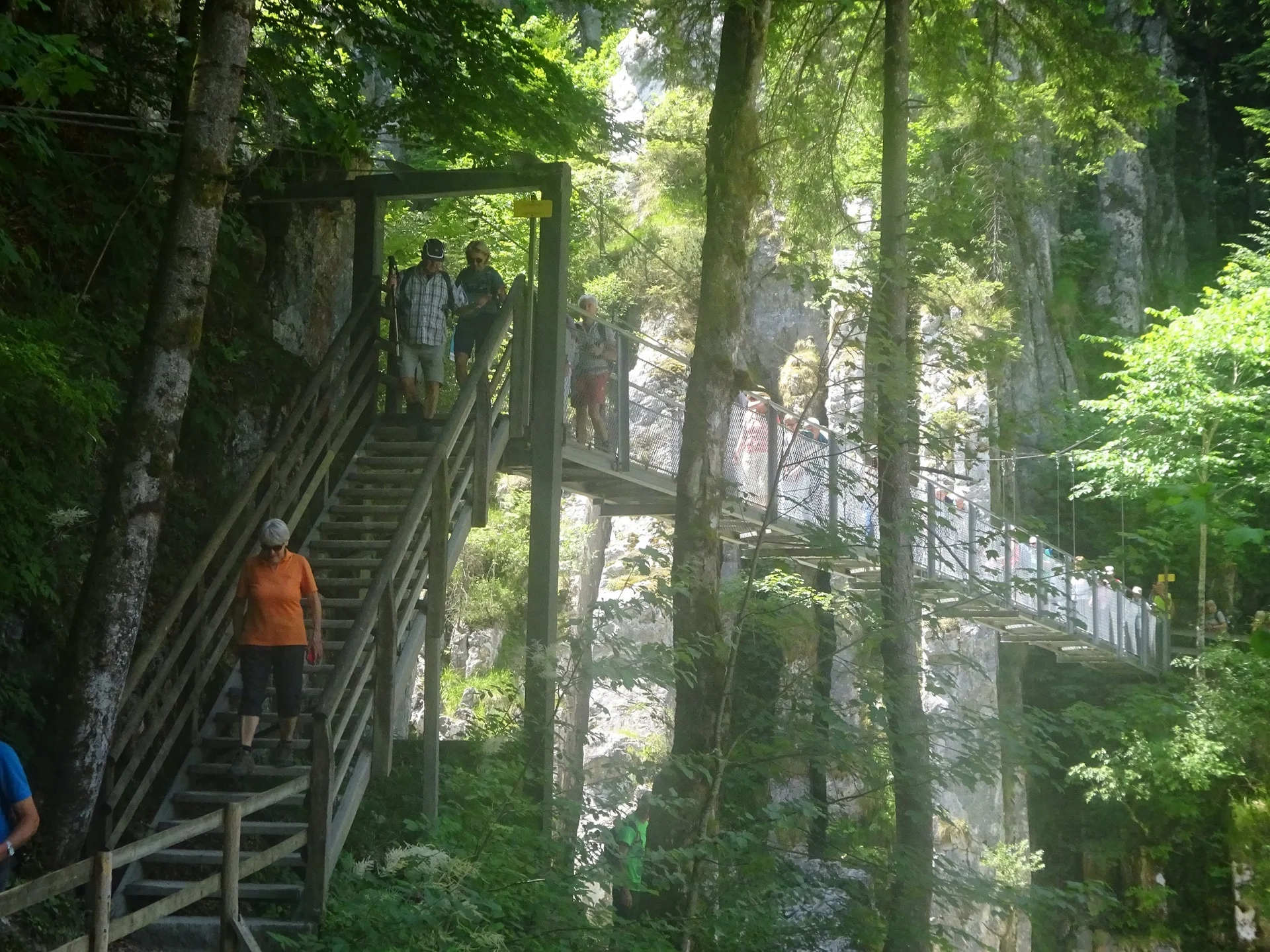 © Werner & Inge Fessel