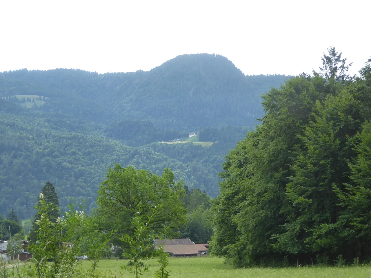 © Werner & Inge Fessel