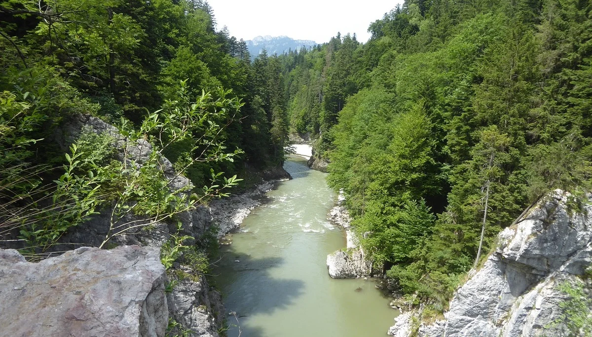 © Werner & Inge Fessel