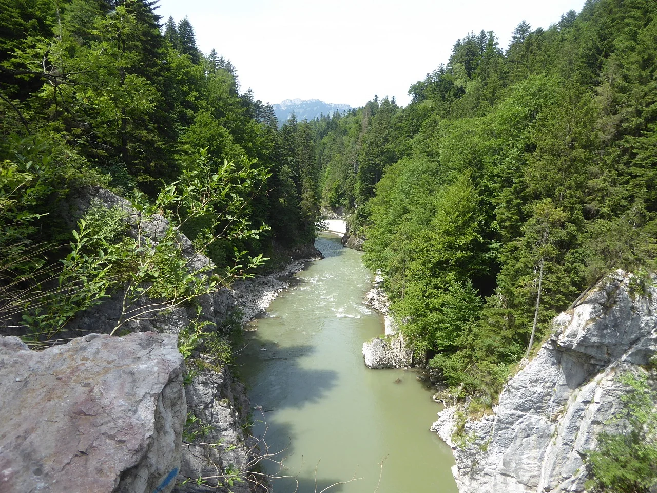 © Werner & Inge Fessel