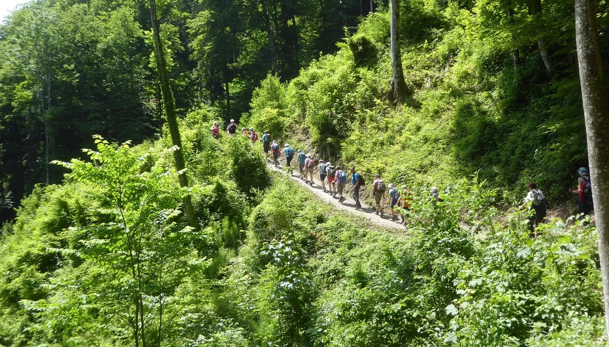 © Werner & Inge Fessel