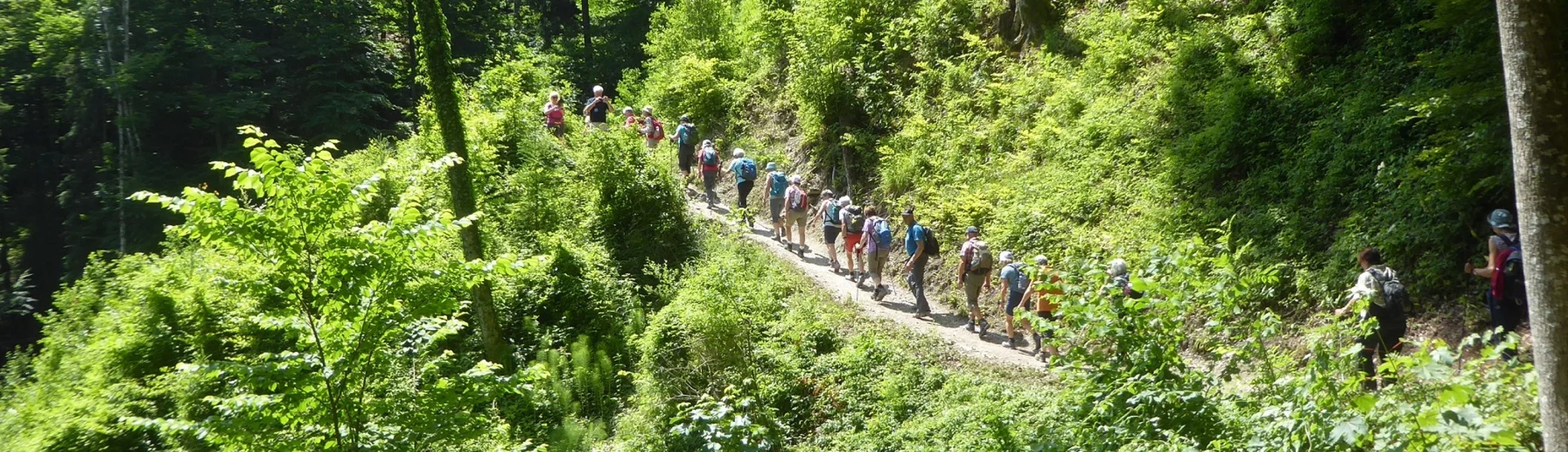 © Werner & Inge Fessel