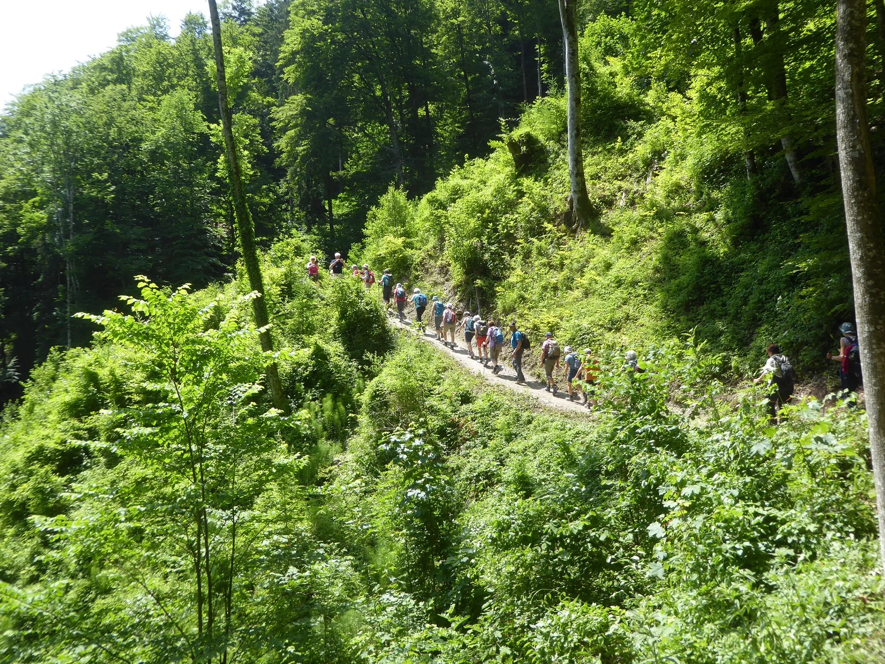 © Werner & Inge Fessel