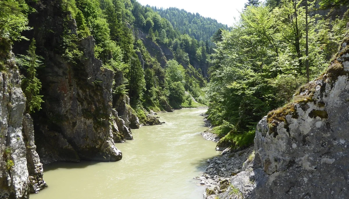 © Werner & Inge Fessel