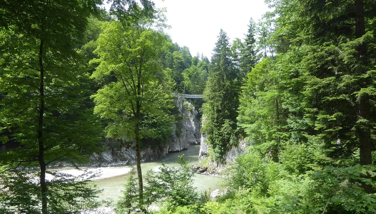 © Werner & Inge Fessel