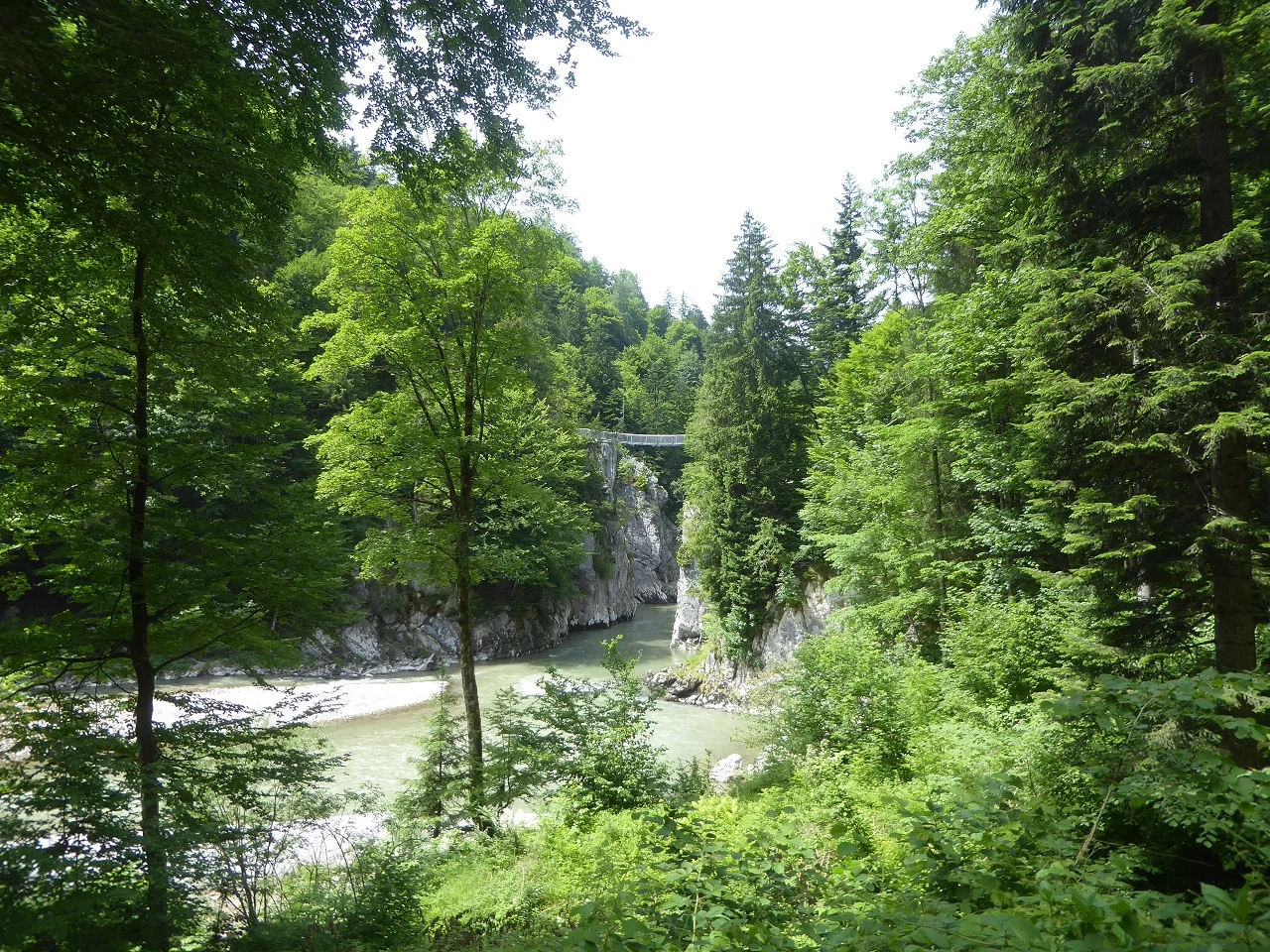 © Werner & Inge Fessel