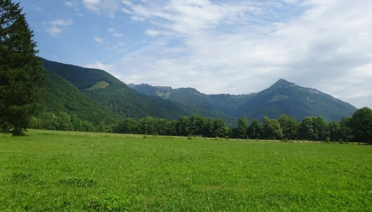 © Werner & Inge Fessel