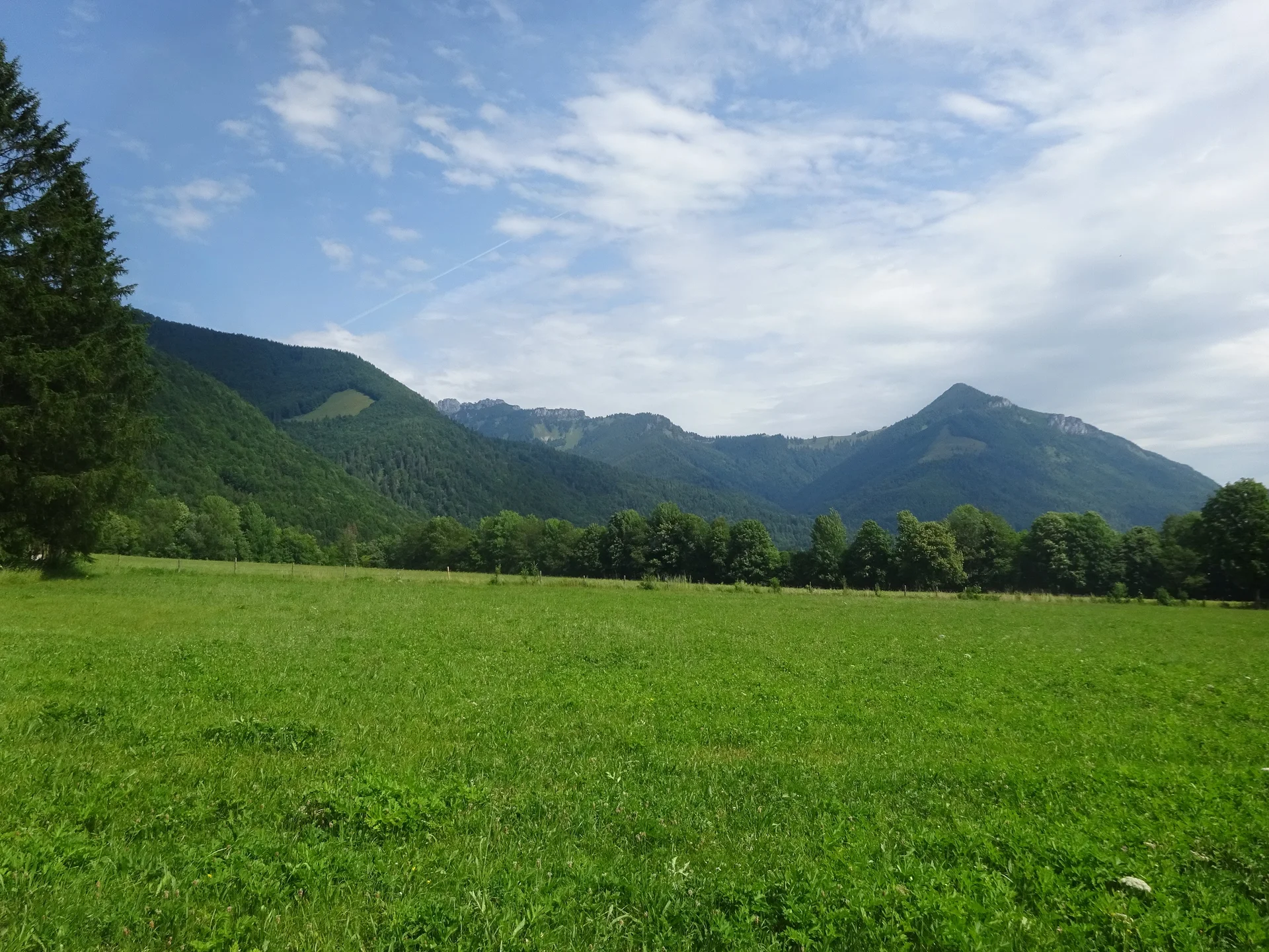 © Werner & Inge Fessel