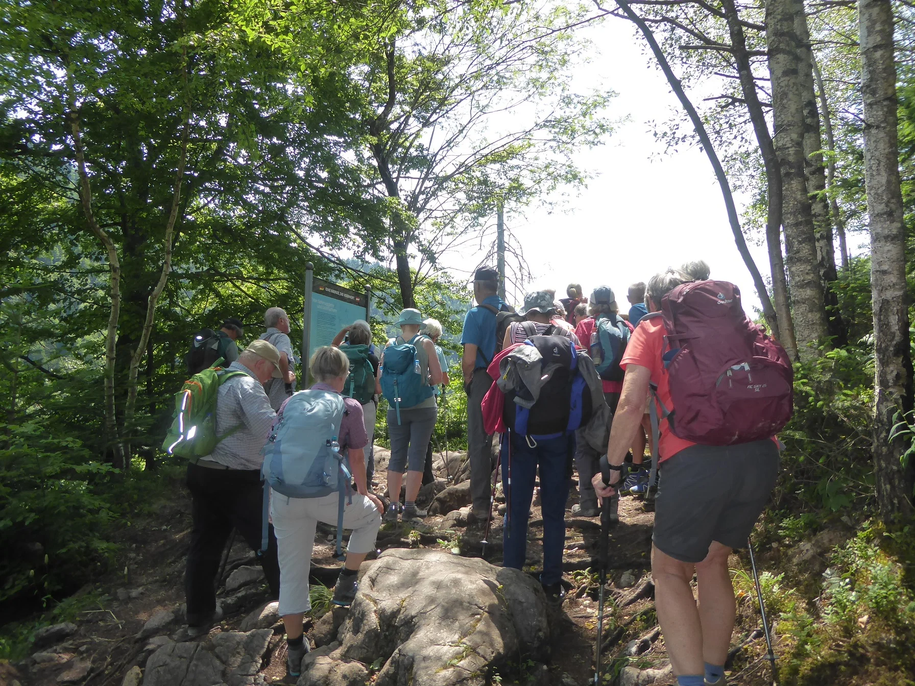 © Werner & Inge Fessel