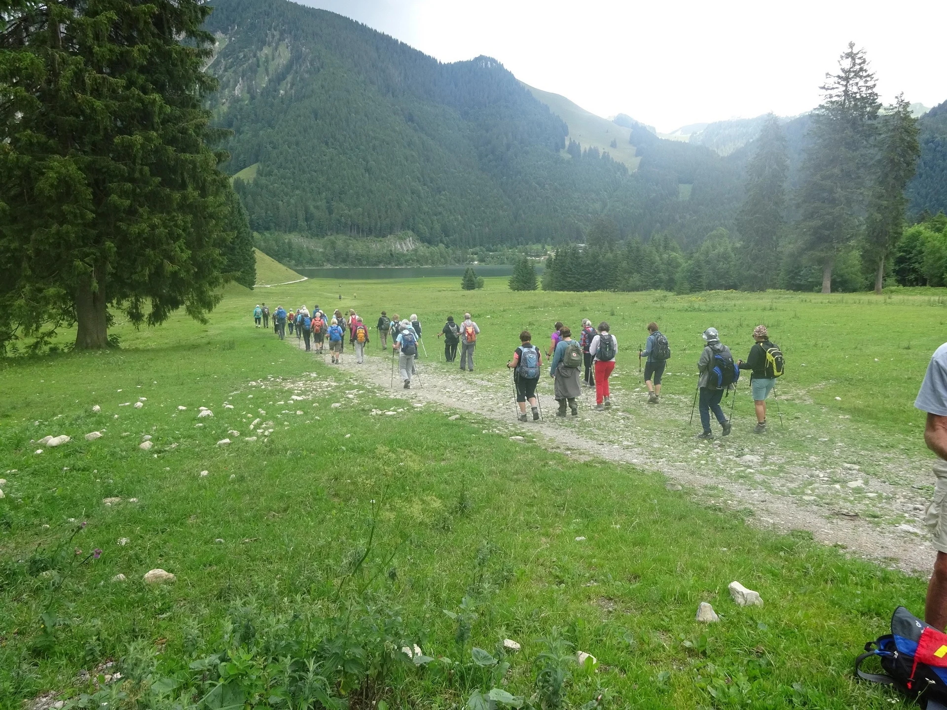 © Werner & Inge Fessel