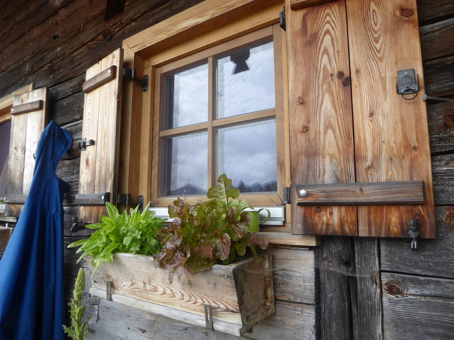 © Werner & Inge Fessel