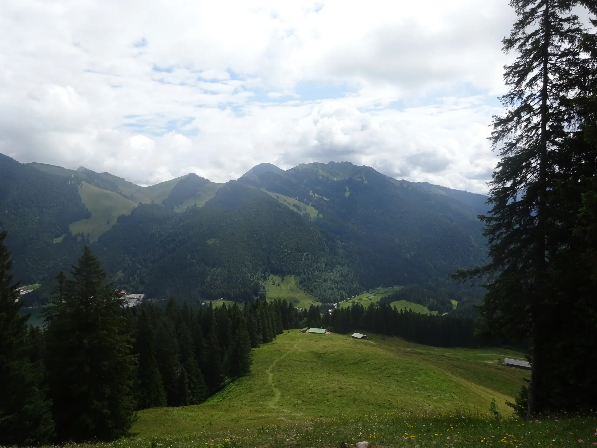 © Werner & Inge Fessel