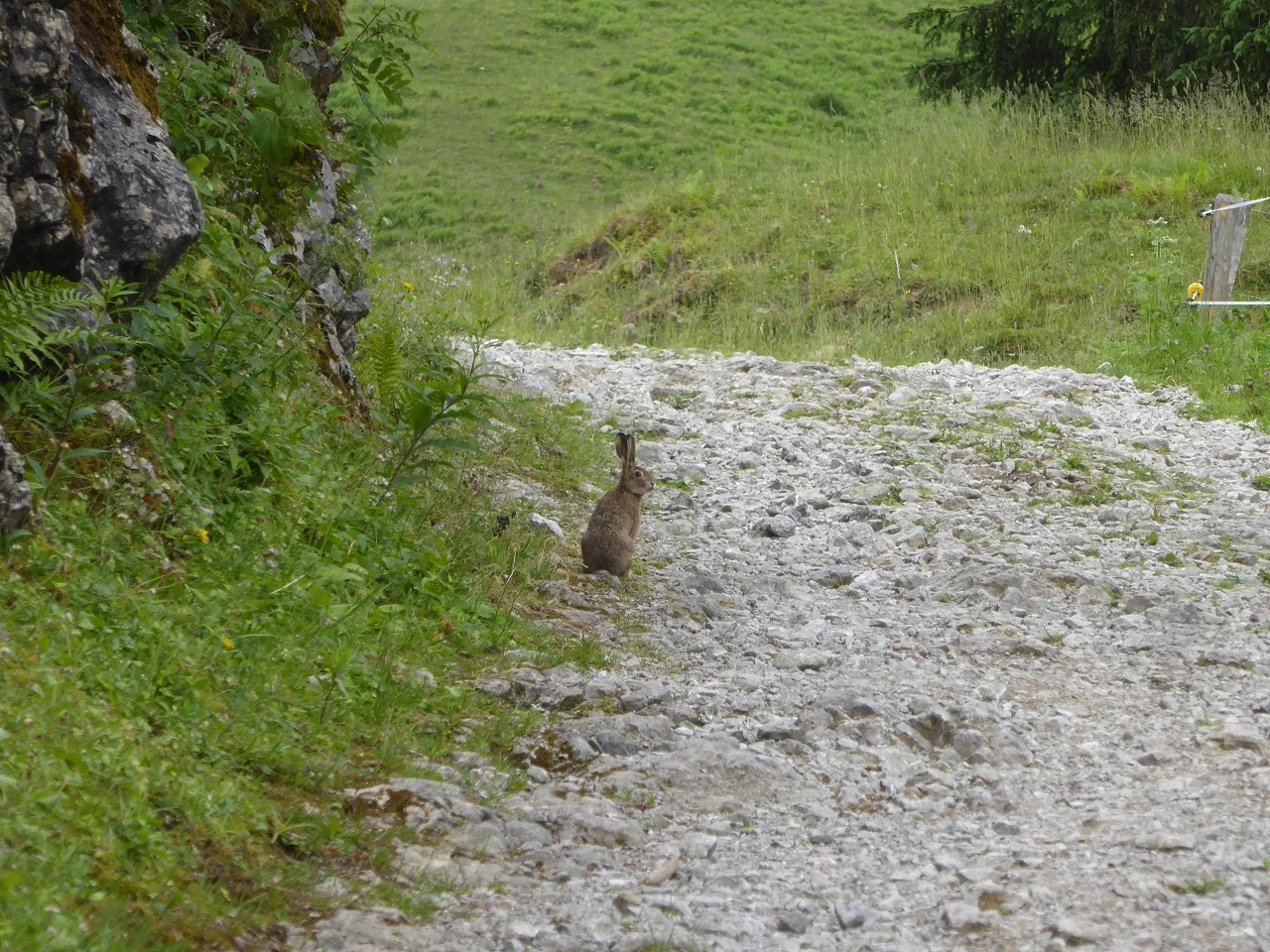 © Werner & Inge Fessel