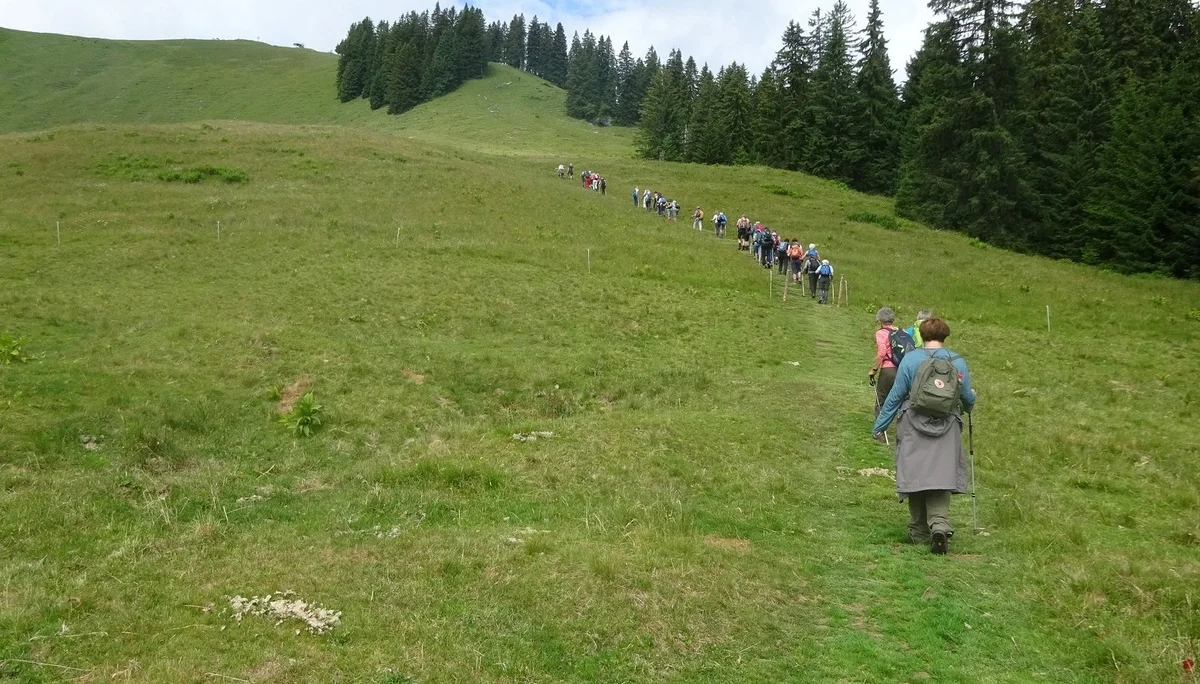 © Werner & Inge Fessel