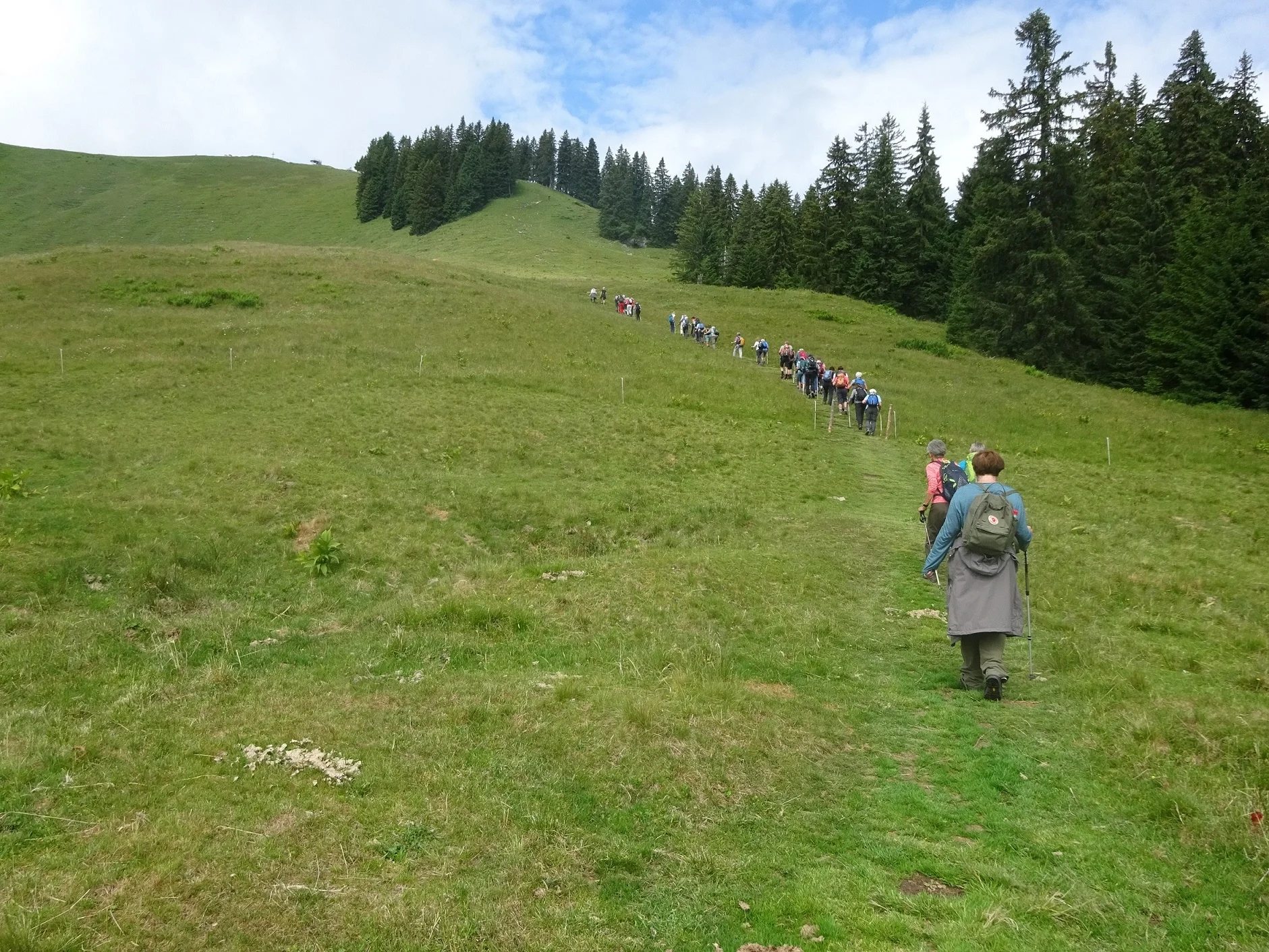 © Werner & Inge Fessel