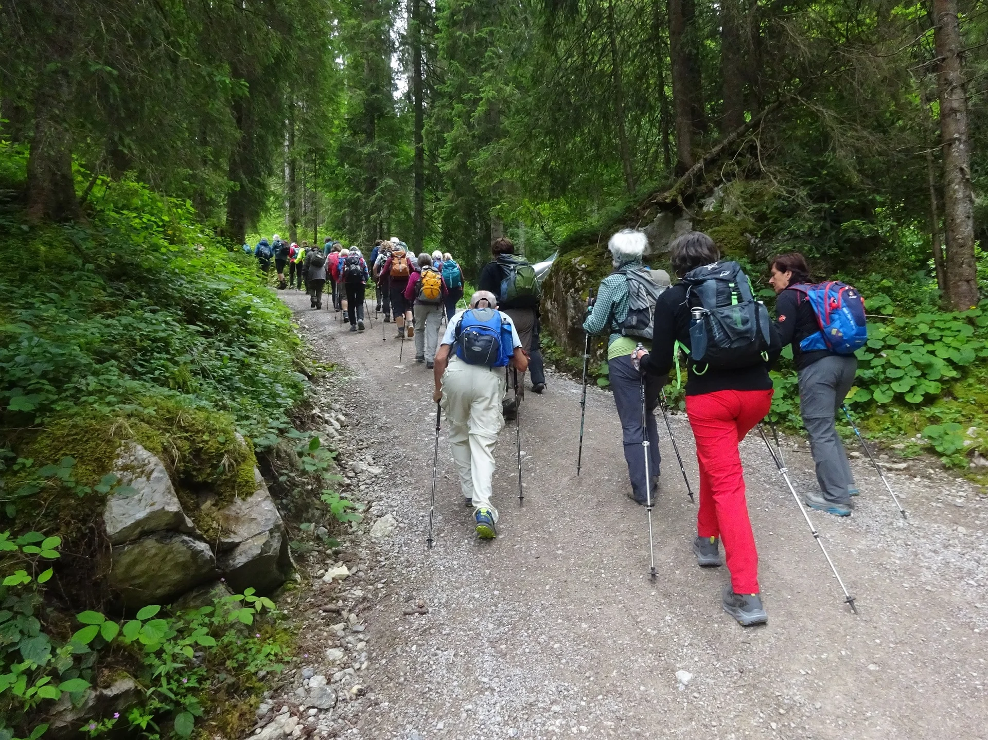 © Werner & Inge Fessel