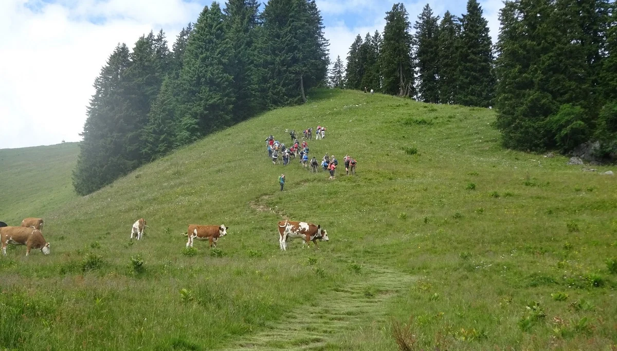 © Werner & Inge Fessel