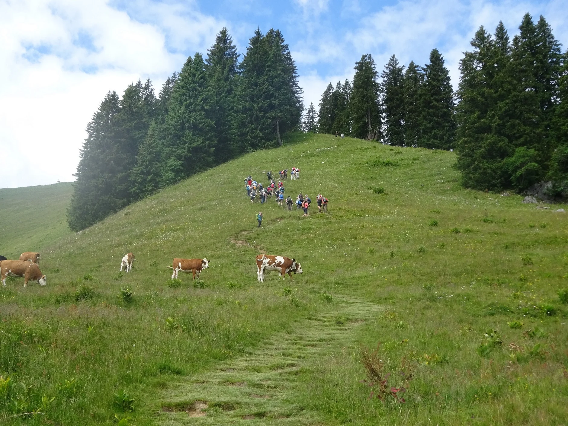 © Werner & Inge Fessel