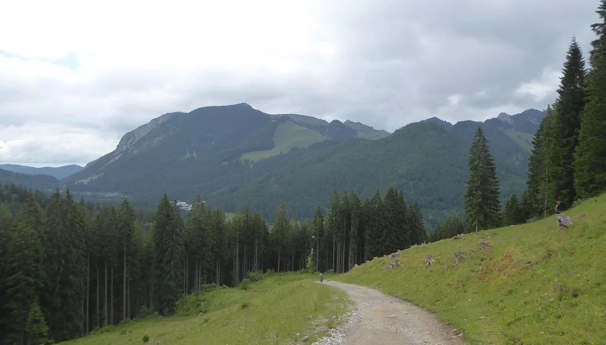 © Werner & Inge Fessel