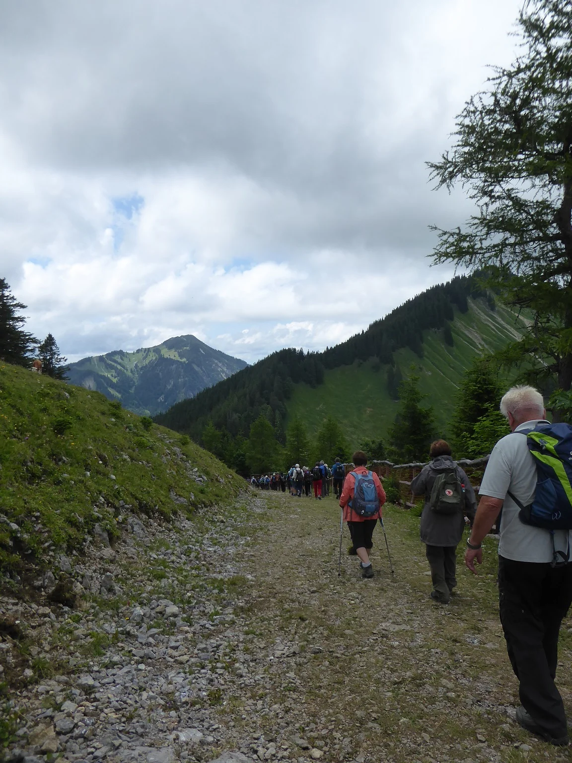 © Werner & Inge Fessel