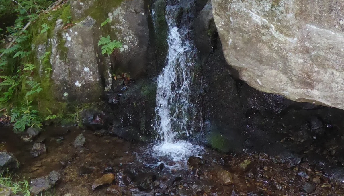 © Werner & Inge Fessel