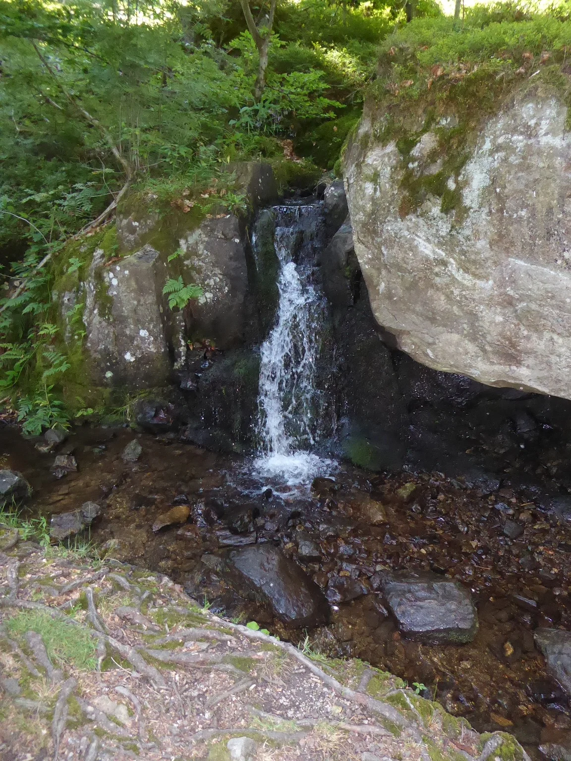 © Werner & Inge Fessel