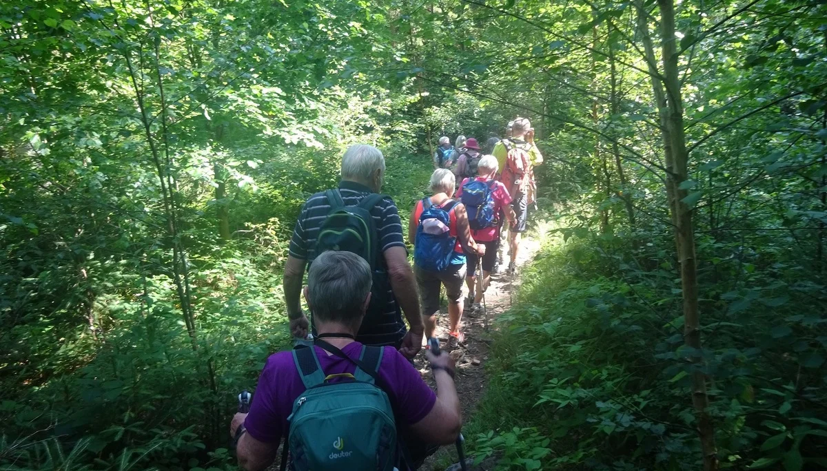 © Werner & Inge Fessel