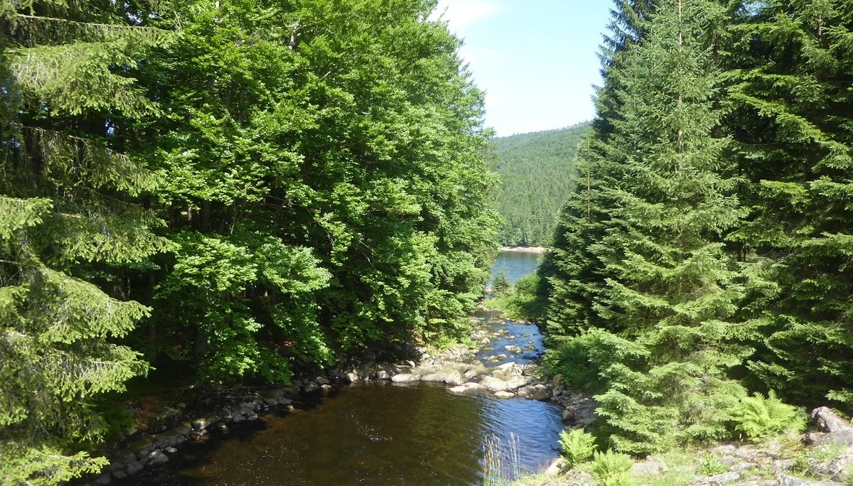 © Werner & Inge Fessel